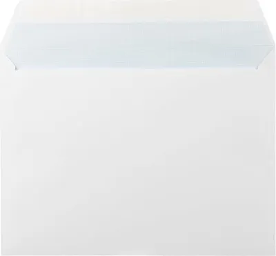 Immagine prodotto di LIDERPAPEL N.16 bianco in folio 260 x 360 mm scatola da 250 pezzi