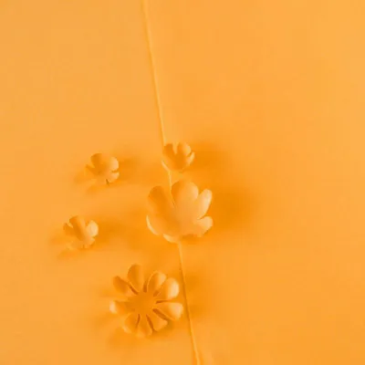 Immagine prodotto di Foamiran - 60x70cm - 112 giallo scuro