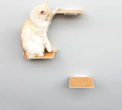 Produktbild von Famanu Kattentreppe Set von 3 - Sichere Klimmöglichkeiten für Katzen