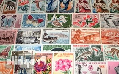 Productafbeelding van Postzegels Verzameling - Franse Koloniën - Verzamelen - 100 Verschillende Stuks - 13.7 x 10.8 cm - Multicolor