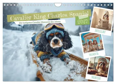 Produktbild von Cavalier King Charles Spaniel. Die lustigsten Cavalier Momente des Jahres. (Wandkalender 2027 DIN A4 quer), CALVENDO Monatskalender