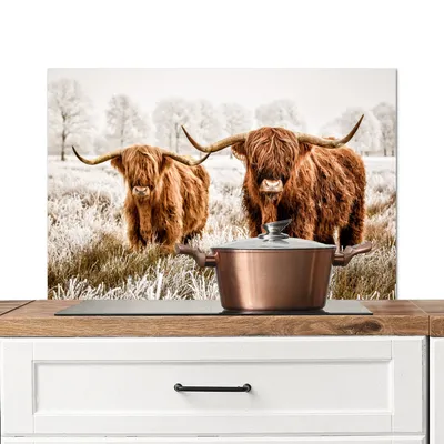 Produktbild von KitchenYeah®  Spritzschutz Küche - Küchenrückwand - Wandschutz für Herd und Spüle - Schottisches Hochlandrind - Kuh - Tiere 80x55 - Alu-Dibond (Alternative zum Spritzschutz aus Glas) - Hitzebeständig