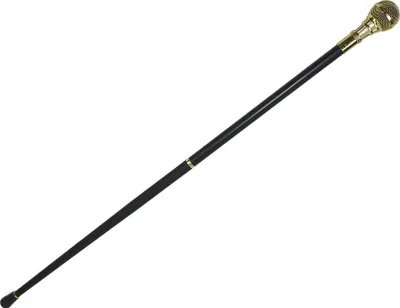Produktbild von Wandelstok Microfoon