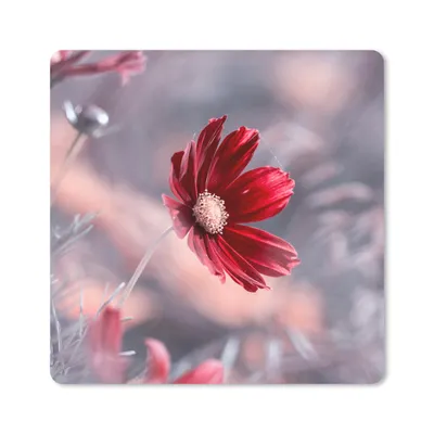 Produktbild von MuchoWow® Mauspad Mousepad Blumen - Rot - Natur - Pflanzen 20x20 cm - Mousepads - Maus Mat - Pad - Mausunterlage - Desk Mat - Bureauartikeln