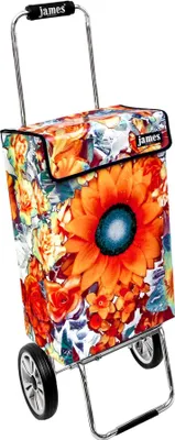Obrázek produktu pro Nákupní vozík James - NOSTALGHIA - robustní nákupní vozík s individuálním designem - jednobarevný: oranžový v provedení: Chrome19