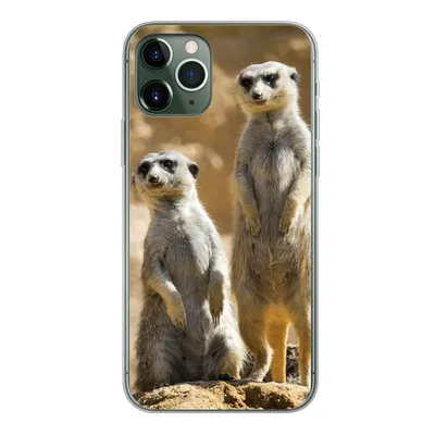 Produktbild von MuchoWow® Handyhülle Schutzhülle Hülle für iPhone 11 Pro Felsen - Erdmännchen - Tiere Silikon Softcase Handy Hülle - Handy