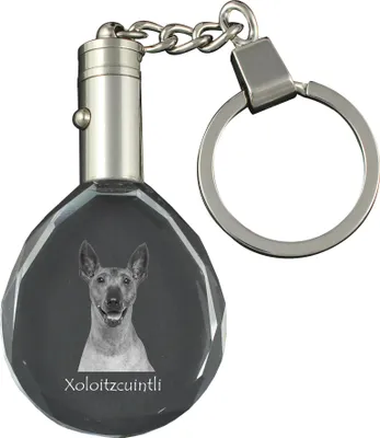 Produktbild von Mexikanischer Nackthund, Xoloitzcuintle, Xolo, Tepeizeuintli - Anhänger mit einem Foto eines Hundes, Schlüsselanhänger aus Kristall in einer Geschenkbox, ein einzigartiges Geschenk von Art-Dog