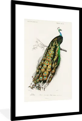 Produktbild von MuchoWow® MuchoWow® Gerahmtes Poster Vogel - Pfau - Vintage 60x90 cm - Poster mit zchwarzem Bilderrahmen - Dekoration - Wandposter Wohnzimmer - Hochwertig