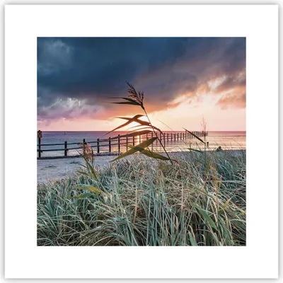Produktbild von Poster - Poster ohne Rahmen - Strand Gras Horizont - 30x30 cm - Wand Bild - Wanddeko - Wandbilder - Kunstposter - Wandposter - Bilder - Kunstdruck - Wanddekoration - Wandbild - P2XAC30x30-4625