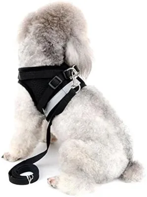 Image de Kit de laisse pour petits animaux de compagnie - Réfléchissant et souple