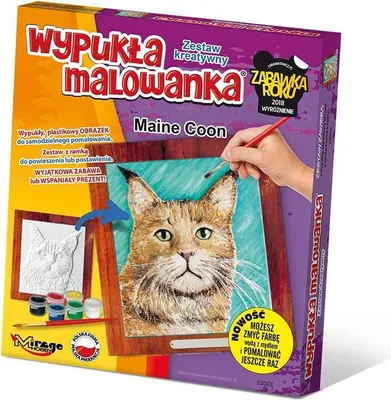 Image de Tableau convexe Chats - Maine Coon