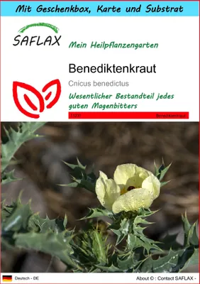 Produktbild von SAFLAX - Geschenk Set - Heilpflanzen - Benediktenkraut - 50 Samen - Mit Geschenk- / Versandbox, Versandaufkleber, Geschenkkarte und Anzuchtsubstrat - Cnicus benedictus