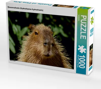 Produktbild von Calvendo Wasserschwein (Hydrochoerus hydrochaeris) 1000 Teile Puzzle quer 640x480mm, CALVENDO; 7298946