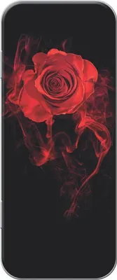 Produktbild von Aristo Schüler-Blechetui Pen Case Motiv Rose