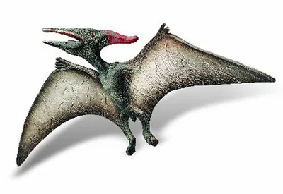 Image de Bullyland 61364 - Pteranodon Museum Line