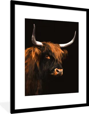 Produktbild von MuchoWow® Gerahmtes Poster Schottischer Highlander - Kuh - Schwarz 60x80 cm - Poster mit Schwarzem Bilderrahmen Wandposter Rahmen Foto Bilder - Wohnzimmer - Dekorationen - Prämie