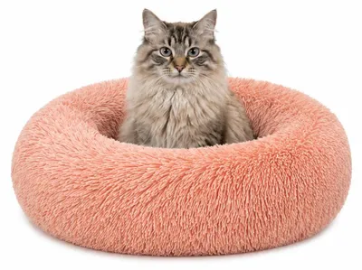 Produktbild von lionto Donut Katzenkissen, rundes Bett mit Plüschbezug & Anti-Rutsch-Boden, erhöhter Rand für Geborgenheit, 50 cm Durchmesser, rosa