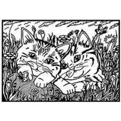 Imagen del producto de Tortuga Gattini, 1 página, para niños/niñas, dibujo individual para colorear