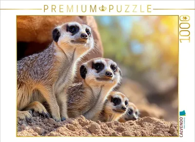 Produktbild von CALVENDO Puzzle Wir lieben unsere Geimschaft | 1000 Teile Lege-Größe 64x48cm Foto-Puzzle für glückliche Stunden