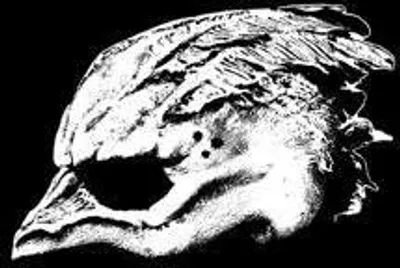 Produktbild von Legend Of The Seagullmen