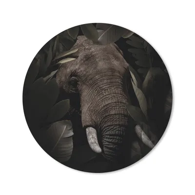 Produktbild von MuchoWow® Mauspad Mousepad Elefant - Tiere - Blätter - Botanisch 30x30 cm - Mousepads - Maus Mat - Pad - Mausunterlage - Tischunterlage - Schreibtischmatten