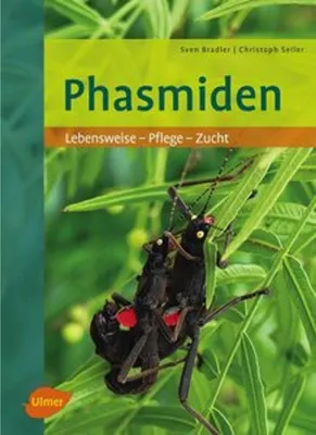 Image de Phasmiden