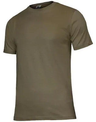 Obrázek produktu pro Malfini - Pánské tričko, klasický střih PP9317 (velikost 3XL) (šedá/zelená)