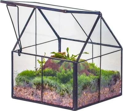 Produktbild von Kunstvoll handgefertigtes Glas-Geometrie-Terrarium, schwarz, Einzelstück, 10,8 x 10,8 x 12,5 cm