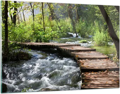 Produktbild von Bilder auf glas - Park natur grün bäume - 120x80cm - Glasbilder - Wandbilder - Kunstdruck - zum Aufhängen bereit - Wanddekoration aus Glas - Glas Bilder - Wandbild auf Glas - GAA120x80-0356