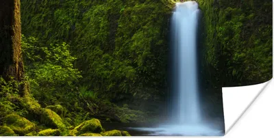 Produktbild von MuchoWow® Poster Dschungel - Wasserfall - Natur 40x20 cm - Poster für die Wand - Poster Schlafzimmer