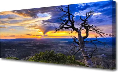 Produktbild von Tulup Leinwand-Bilder 125x50 Wandbild Canvas Kunstdruck Baum Landschaft