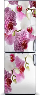Produktbild von Tulup Kühlschrankdekoration - Magnetmatte - 70 cm x 190 cm - Magnet auf dem Kühlschrank - Orchidee