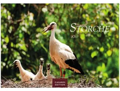 Produktbild von Störche Kalender 2027 - Wandkalender | Fotokalender Tierkalender 24x35cm - Inspirierende Storch-Motive für Natur- und Tierkalenderliebhaber.