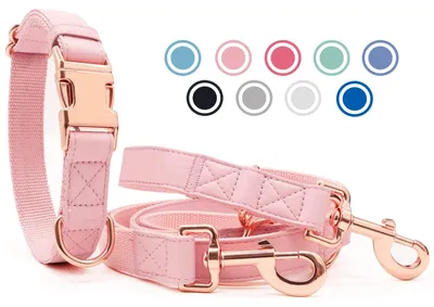 Produktbild von Hundehalsband und Leine Set - Verstellbare Hundenleine mit Halsband, Rosa