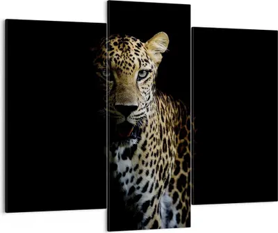 Produktbild von Bild auf Leinwand - Leinwandbild - 3 Teile - Schattig Leopard Panther - 130x100cm - Wand Bild - Wanddeko - Wandbilder - Leinwanddruck - Bilder - Wanddekoration - Leinwand bilder - CB130x100-4585