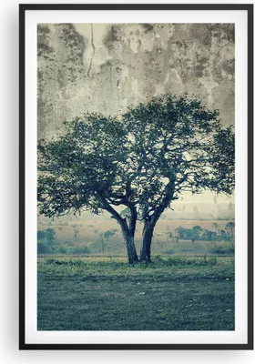 Produktbild von Gerahmtes Poster - Schwarzer Rahmen - Baum Natur Feld - 61x91,5 cm - Wand Bild - Wanddeko - Wandbilder - Kunstposter - Wandposter - Bilderrahmen - Bilder - Kunstdruck - Wandbild - P2BPA61x91-3627