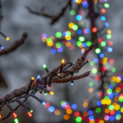 Produktbild von LED-Lichterkette 'Flashy', 1500 bunte LED