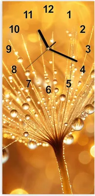 Produktbild von Wanduhr aus Glas mit Motiv Löwenzahn Tropfen- 30 x 60 cm - inkl. Aufhängesystem