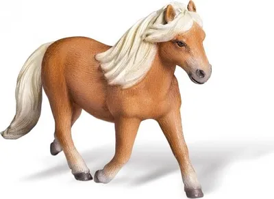 Produktbild von Ravensburger 003075 tiptoi® - Falabella Stute
