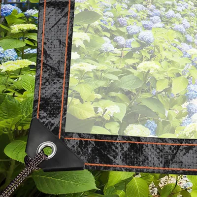 Produktbild von Eikuavons Transparente PE Gewächshausfolie 300 x 600 cm, Abdeckplane mit Ösen
