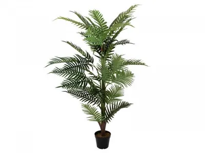 Imagen del producto de EUROPALMS, Areca, planta artificial, 150 cm (82509414)