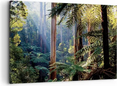 Produktbild von Bild auf Leinwand - Leinwandbild - Einteilig - Morgendämmerung Bäume Wald - 100x70cm - Wand Bild - Wanddeko - Wandbilder - Leinwanddruck - Bilder - Wanddekoration - Leinwand bilder - AA100x70-4403