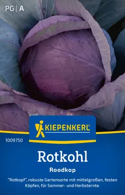 Produktbild von Kiepenkerl Rotkohlsamen Roodkop Brassica oleracea capitata rubra 60 Pflanzen