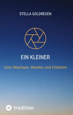 Produktbild von Ein kleiner Lichtfunke auf Erden
