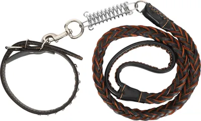 Immagine prodotto di Guinzaglio per cani con collare, set anti-smarrimento per cani di taglia grande e media (nero)