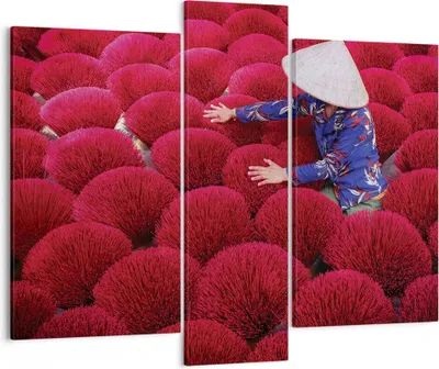 Produktbild von Bild auf Leinwand - Leinwandbild - 3 Teile - Trocknen Weihrauch Vietnam - 95x80cm - Wand Bild - Wanddeko - Wandbilder - Leinwanddruck - Bilder - Wanddekoration - Leinwand bilder - CB95x80-4655