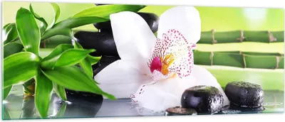 Produktbild von Bilder auf glas - blume orchidee - 140x50cm - Glasbilder - Wandbilder - Kunstdruck - zum Aufhängen bereit - Wanddekoration aus Glas - Glas Bilder - Wandbild auf Glas - Einteilig - GAB140x50-3659