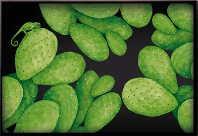 Produktbild von Taitù Cactus - Tablett 66 x 45 cm