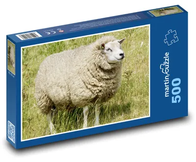 Obrázek produktu pro Puzzle 500 Ovce na louce - martinpuzzle