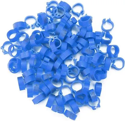 Immagine prodotto di Anelli in plastica blu da 8 mm per uccelli
